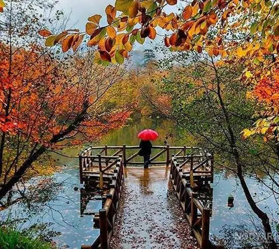 عکس پروفایل 🌐☆  شهلا دائی فرشچی